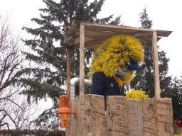 Fasnacht 2004 Aesch