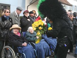 Fasnacht 2009 Liestal