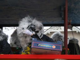 Fasnacht 2010 Aesch