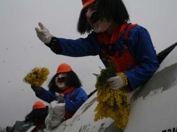 Fasnacht 2011 Aesch