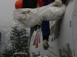 Fasnacht 2011 Aesch