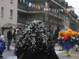 Fasnacht 2011 Aesch