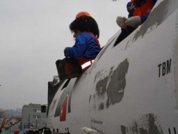 Fasnacht 2011 Aesch