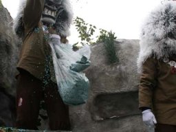 Fasnacht 2011 Aesch